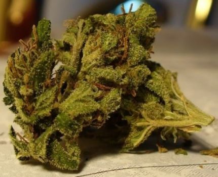 Buy Afgan Goo Marijuana Strain