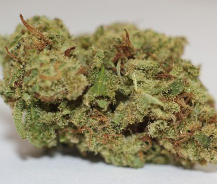 AK-47 Strain