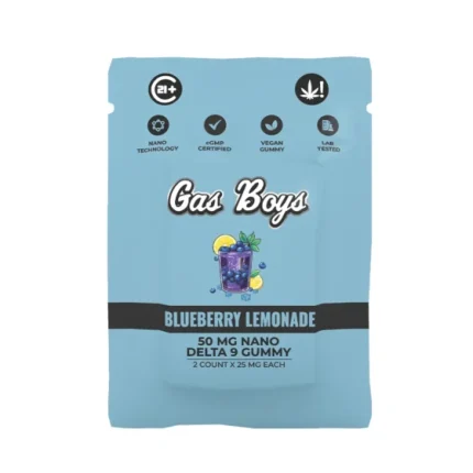 Blueberry_Lemonade_Single_Travel_Pack