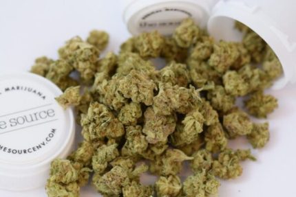 Buy 9 Pound Hammer Marijuana Online