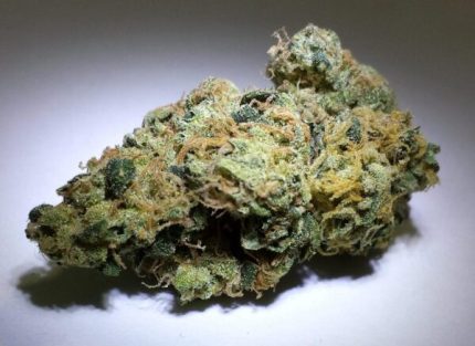 Buy Alien Cookies Cannabis Strain