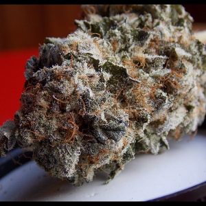 Buy Blue Cookies Marijuana Online