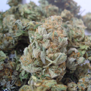Buy Blue Dream Marijuana Strain