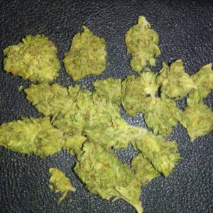 Buy Borderliner Extreme Marijuana Strain