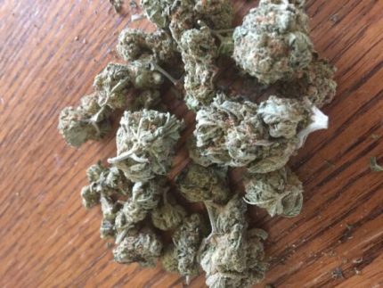 Buy Cinderella 99 Marijuana Online