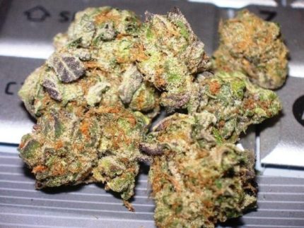 Buy Dawg Cookies Marijuana Online