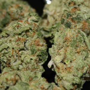 Buy Double Glock Marijuana Strain