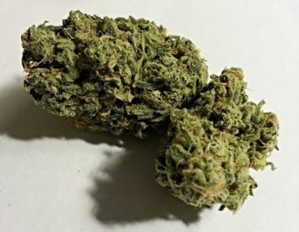 Buy Durban Poison Marijuana Strain