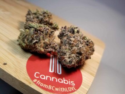 Buy Ghost Train Haze Weed Strain