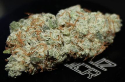 Buy Gorilla Glue #4 Marijuana Strain