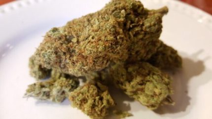 Buy Higher Power Marijuana Online