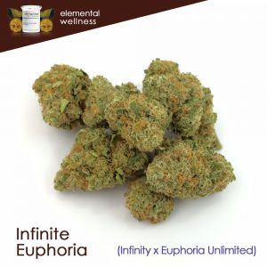 Buy Infinite Euphoria Marijuana Strain