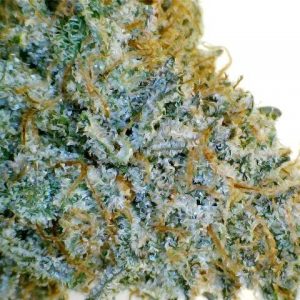 Buy Jack Herer Marijuana Online