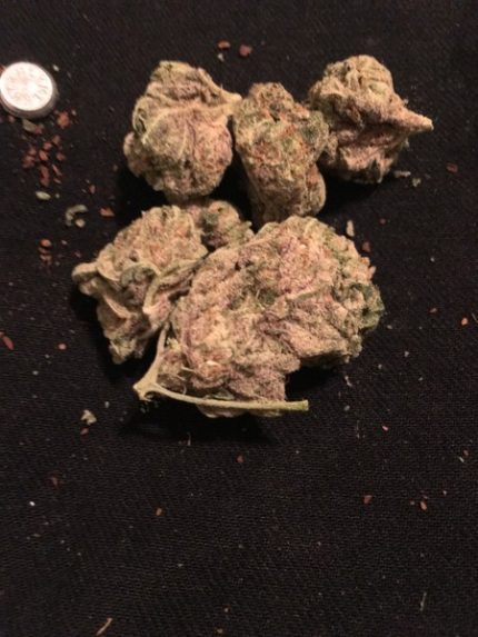 Buy Khalifa kush Marijuana Strain