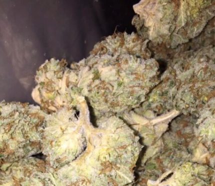 Buy Lemon Thai Cannabis Strain