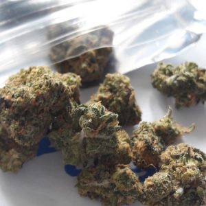 Buy Night Nurse Marijuana Online