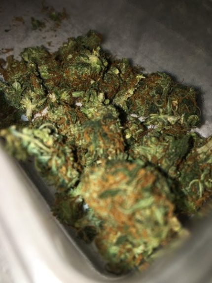 Buy Orange Sherbet Marijuana Online