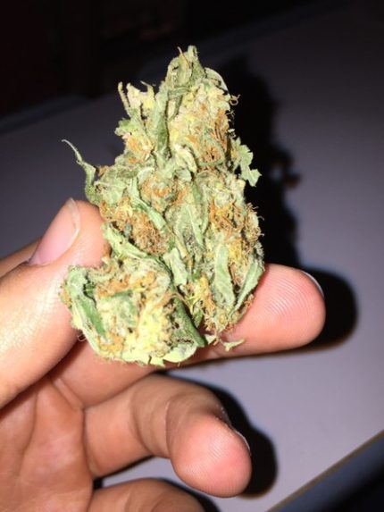 Buy Passion Fruit Marijuana Online