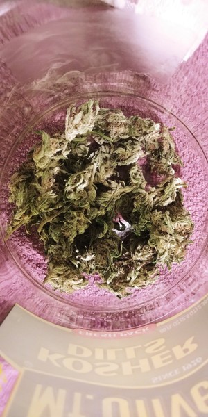 Buy Quantum Kush Marijuana Online