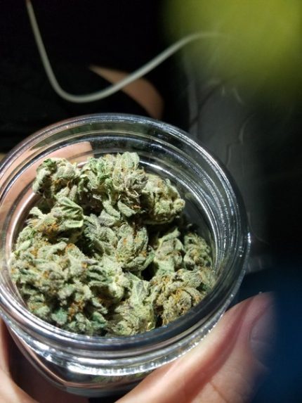 Buy Silvertip Marijuana Online
