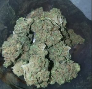 Buy Sour Banana Marijuana Strain
