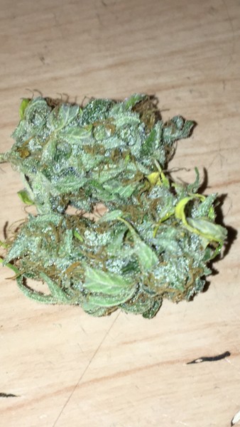 Buy Super Skunk Auto Marijuana Online