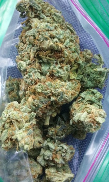 Buy West Coast Diesel Marijuana Online