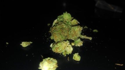 Buy Wifi White Fire OG Marijuana Strain