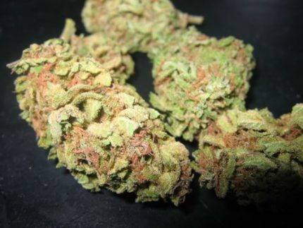 Chemdawg Marijuana